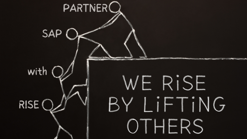 RISE with SAP Partner