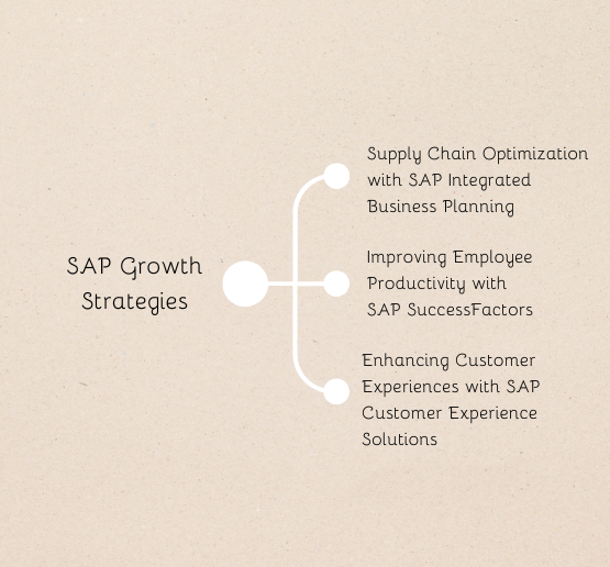 SAP Growth Strategies