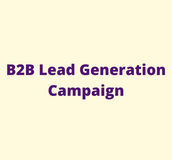 B2B Lead Generation Campaign